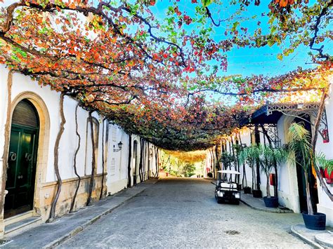 jerez de la frontera gay|Zona de Ambiente en Jerez de la Frontera .